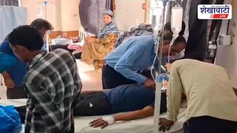 Farmer attacked by bees in Churu field, receiving hospital care