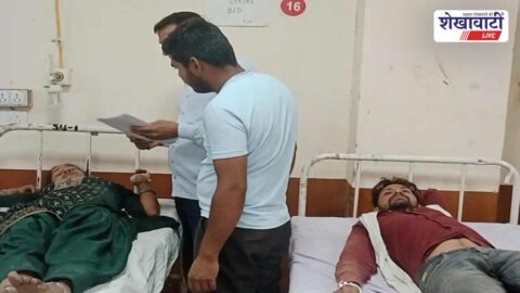 Bee attack injures farmers in Churu field during wheat harvesting