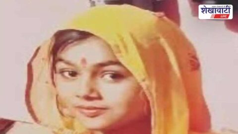 Bidasar dowry harassment case police investigation woman suicide