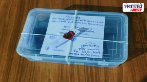 Police arrest youth with illegal pistols and cartridges in Ratangarh