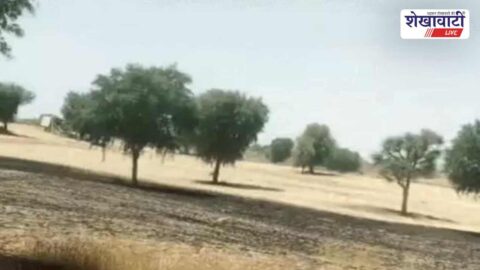 Malsar village wheat crop fire short circuit damage farmers field
