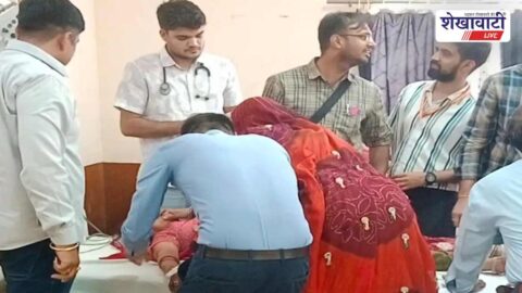 Bee attack injures woman and family members in Churu village