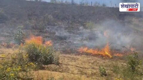 Fire breaks out in farm due to high tension line sparking Ratangarh