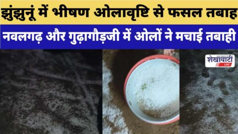 Video News : झुंझुनूं में भीषण ओलावृष्टि से फसल तबाह, किसानों ने मांगा मुआवजा