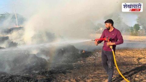 Chirawa wheat crop fire LT line wire fall farmer loss field