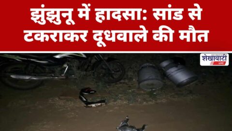 Accident scene Chirawa bypass bike collision with bull fatal injury