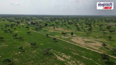 Katli river bed encroachment removal demarcation work Rajasthan