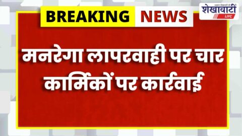 MGNREGA nursery negligence action Sikar officials penalty recovery