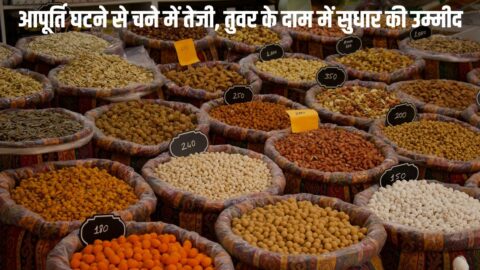 Daal Bhav आपूर्ति घटने से चने में तेजी, तुवर के दाम में सुधार की उम्मीद