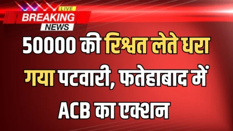 50000 की रिश्वत लेते धरा गया पटवारी, हरियाणा के फतेहाबाद में ACB का तगड़ा एक्शन