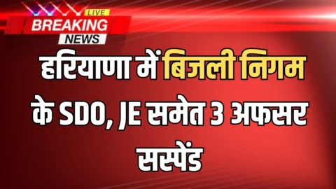 Haryana News : हरियाणा में बिजली निगम के SDO, JE समेत 3 अफसर सस्पेंड, जानिए पूरा मामला