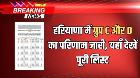 HSSC Group C D Result Download : हरियाणा में ग्रुप C और D का परिणाम जारी, यहाँ देखें पूरी लिस्ट