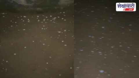 Rain and hailstorm hit Ratangarh villages, temperature drops suddenly