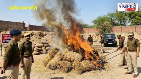Police destroying seized narcotics burning doda post Churu Rajasthan