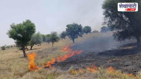 Fire breaks out in Budhwali village fields near Ratangarh