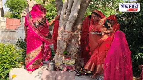 Women worshipping banyan tree during Bad Amavasya in Rajaldesar