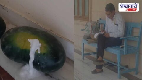 तरबूज से झाग निकलने का मामला: स्वास्थ्य विभाग ने लिया सैंपल