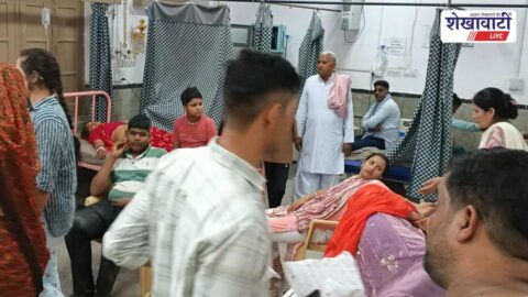 Injured passengers after pickup vehicle overturns near Chhapar