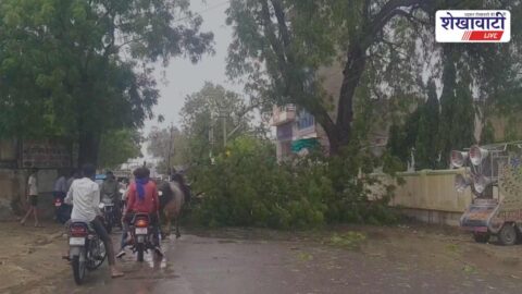 Storm damages tin shed and solar poles in Rajaldesar town