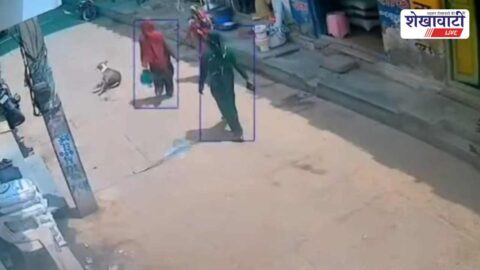 Three women caught on CCTV during theft in Sahwa market
