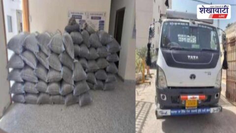 Sardarshahar police seize doda post hidden under onion sacks in truck