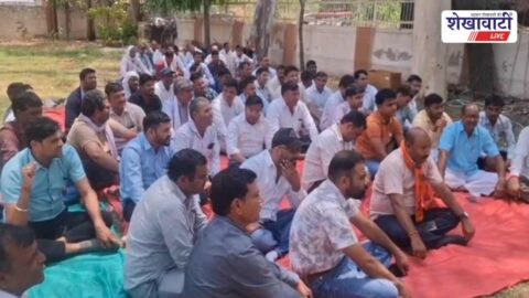 Electricity employees protest against privatisation in Jhunjhunu office premises