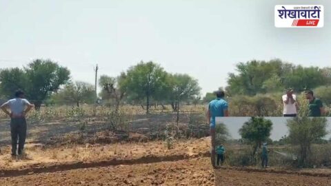 Jhunjhunu News : सूरजगढ़ की झाझड़िया ढाणी में भीषण आग, घंटों बाद पाया काबू