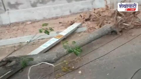 Fallen electricity poles causing power outage in Ratangarh area