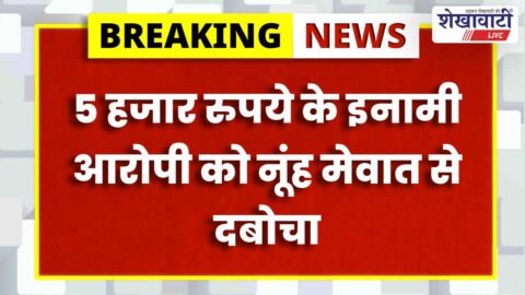 Jhunjhunu News : झुंझुनूं में 5 साल से फरार डकैती का आरोपी गिरफ्तार