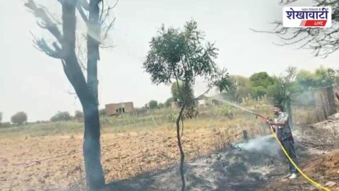 Jhunjhunu News : 11 हजार वोल्ट लाइन फॉल्ट से खेत में लगी आग