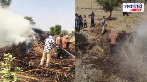 Fire brigade controlling massive fodder fire in Hirwa village Chirawa