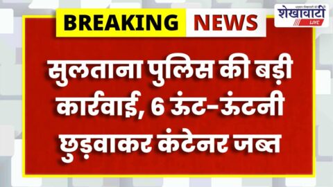 Jhunjhunu police rescue camels and arrest smugglers in Sultana