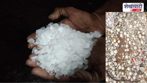Hailstorm and heavy rain impact villages Ratangarh Chhapar Rajasthan