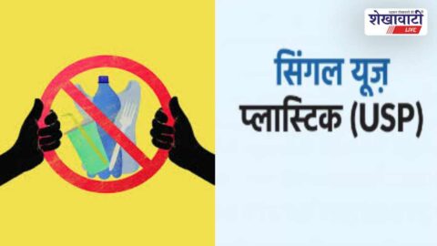 Plastic ban enforcement market inspection officials checking bags Rajasthan