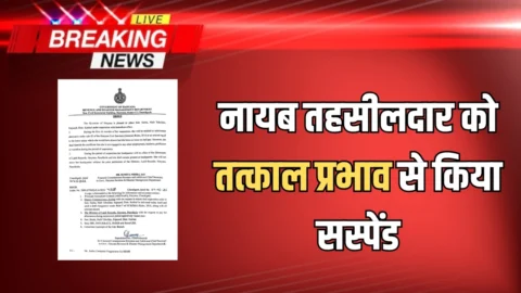 Naib Tehsildar Suspend : हरियाणा में नायब तहसीलदार को तत्काल प्रभाव से किया सस्पेंड, कर्मचारियों को सख्त संदेश