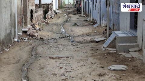 Poor road and drainage conditions in Salasar residential colony
