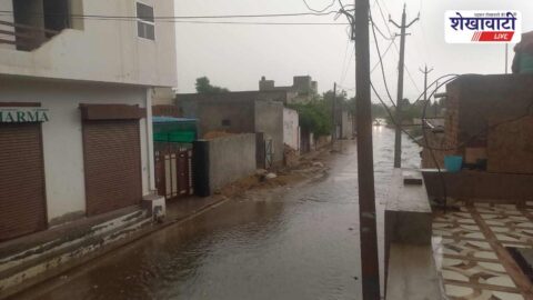 Rainfall brings relief and boosts farming activity in Taranagar