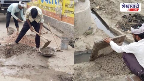 Road pothole near Sain Temple filled in Taranagar