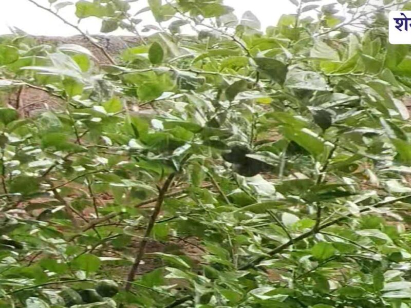 Dark clouds and light rainfall over Churu city