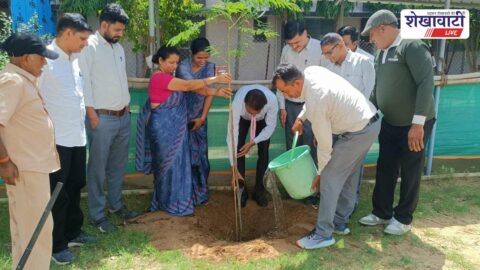 Students planting trees on World Environment Day in Bagad
