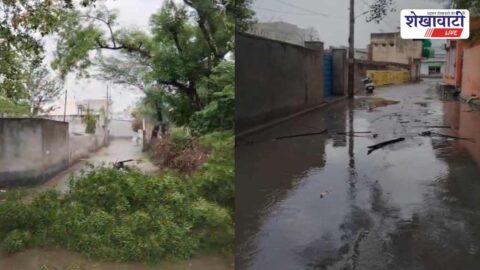 Broken tree branches block roads after storm in Chirawa
