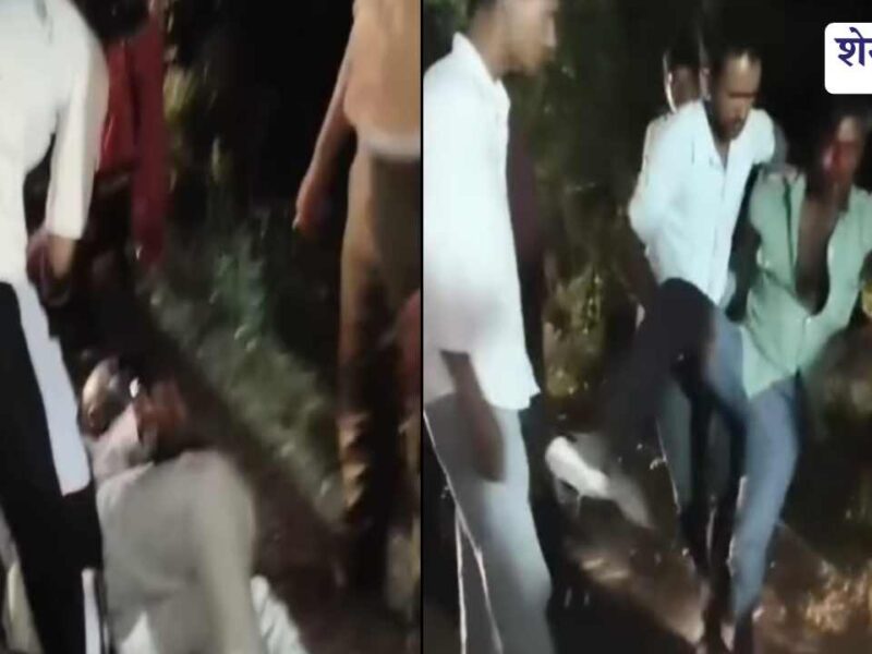 पशुओं के झुंड से टकराई तेज रफ्तार बाइक, महिला समेत 3 घायल