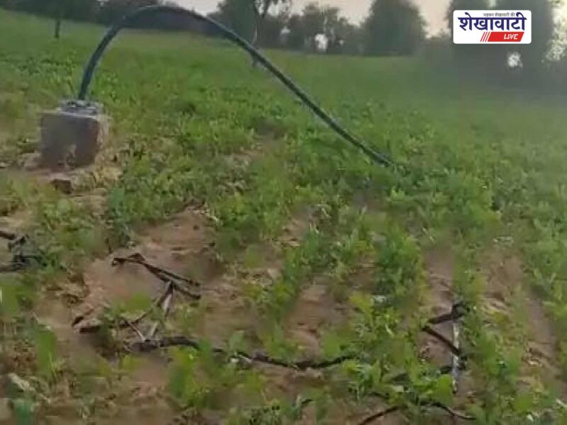 sadulpur-bhojan-village-tubewell-copper-wire-theft