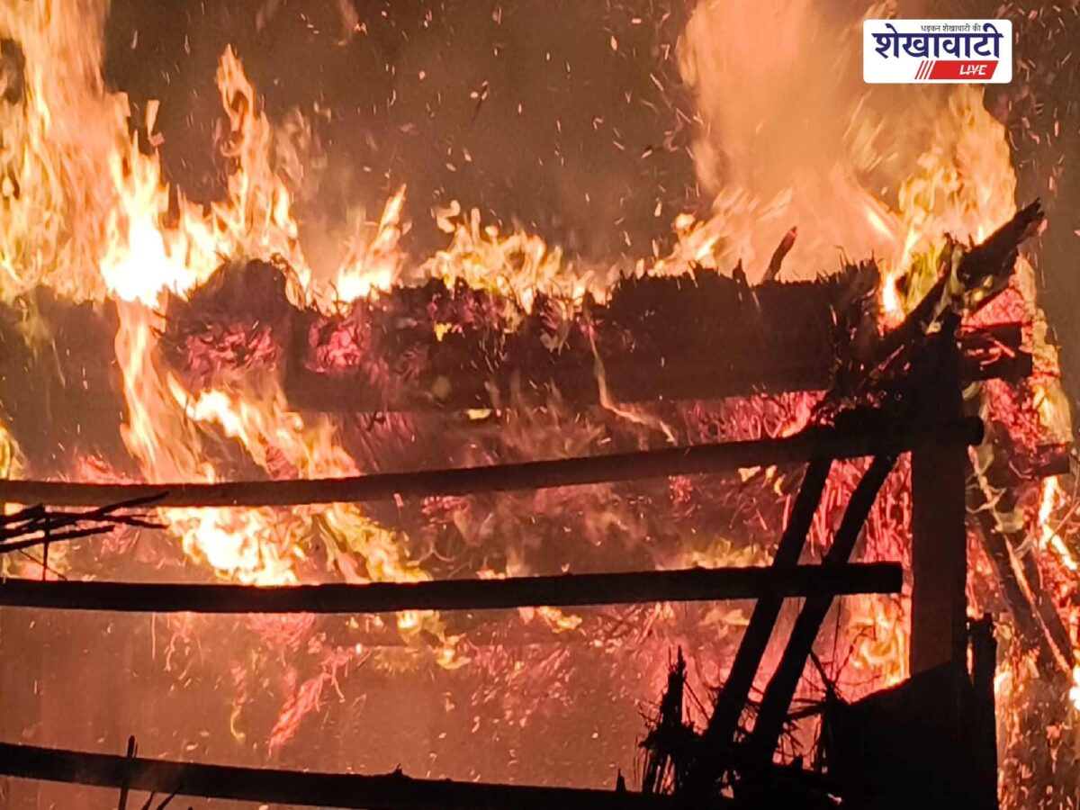ratangarh-shed-fire-cattle-safe-ward-42