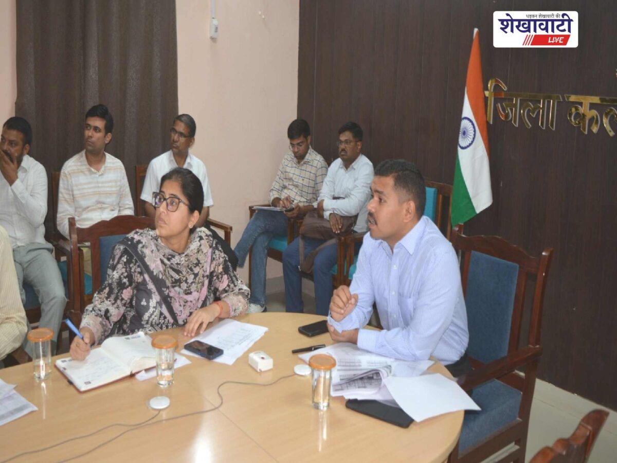 जिला कलक्टर ने साप्ताहिक समीक्षा बैठक में अधिकारियों को सौंपी जिम्मेदारी