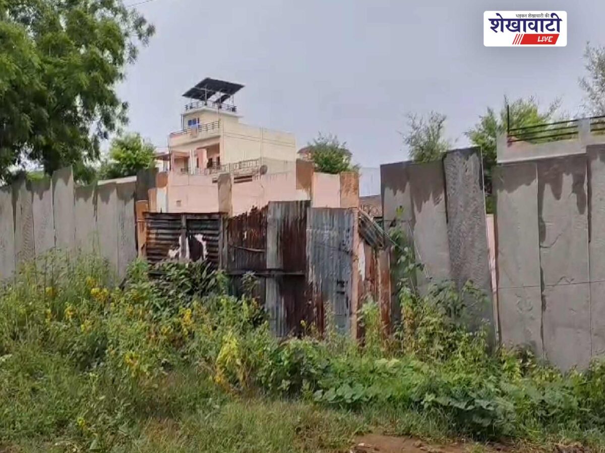 churu-rain-relief-from-heat-monsoon-revives-crops