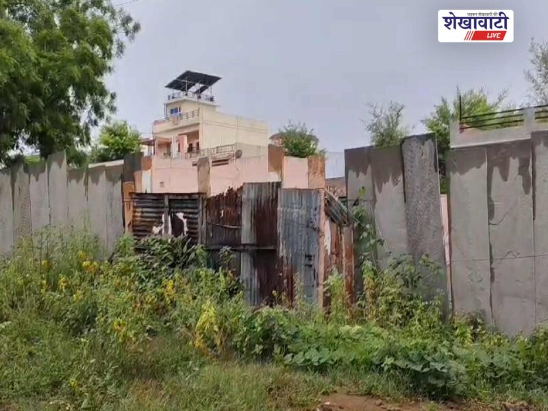 churu-rain-relief-from-heat-monsoon-revives-crops