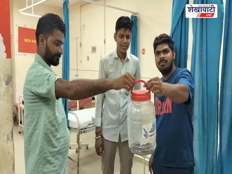 ramgarh-snake-bite-patient-family-brought-live-snake-churu-hospital-2026