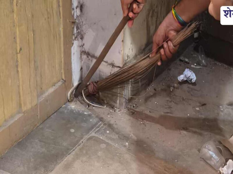 चिड़ावा बिजली विभाग कार्यालय में घुसा सांप, कर्मचारियों ने सुरक्षित किया रेस्क्यू