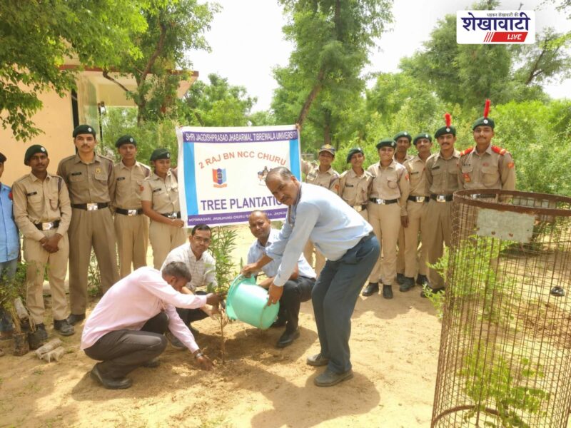jjt-university-ncc-tree-plantation-ek-ped-maa-ke-naam-jhunjhunu